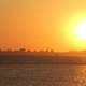 Image for article titled Shooting Challenge: Golden Hour